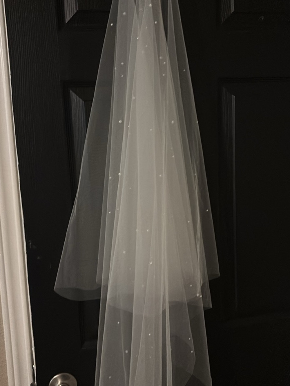 Bridal Veil with Delicate Pearl Beading - White